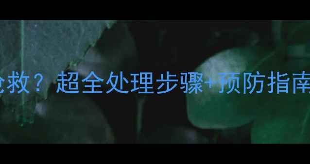 图片 相机镜头进水后如何抢救？超全处理步骤+预防指南（附清洁神器推荐）2