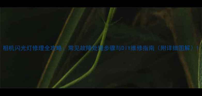 图片 相机闪光灯修理全攻略：常见故障处理步骤与DIY维修指南（附详细图解）1