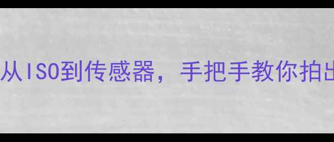 图片 相机黑白参数全：从ISO到传感器，手把手教你拍出高级感黑白大片1