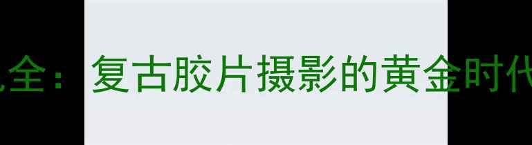 图片 禄来28GX相机全：复古胶片摄影的黄金时代与实用指南1