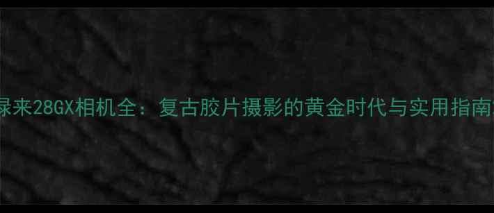 图片 禄来28GX相机全：复古胶片摄影的黄金时代与实用指南2
