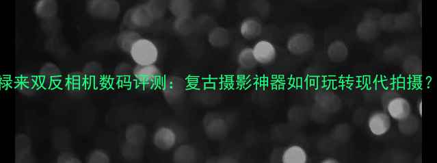 图片 禄来双反相机数码评测：复古摄影神器如何玩转现代拍摄？