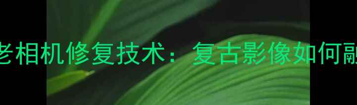 图片 禄来相机历史与老相机修复技术：复古影像如何融入现代数码时代