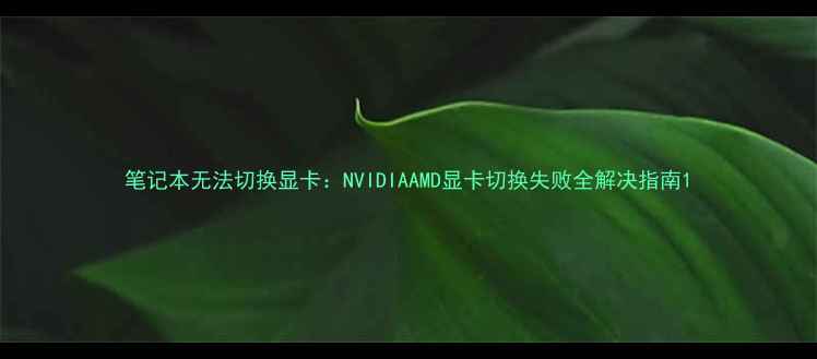 图片 笔记本无法切换显卡：NVIDIAAMD显卡切换失败全解决指南1