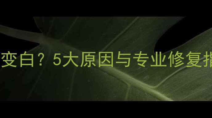 图片 笔记本电脑屏幕变白？5大原因与专业修复指南（最新版）2