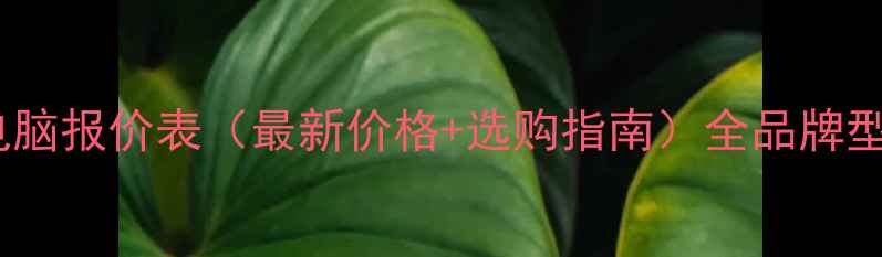 图片 笔记本电脑报价表（最新价格+选购指南）全品牌型号对比1