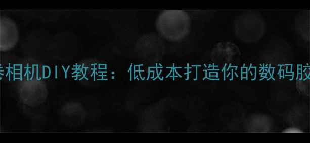 图片 简易复古胶卷相机DIY教程：低成本打造你的数码胶片风格相机2