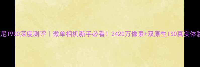 图片 索尼T900深度测评｜微单相机新手必看！2420万像素+双原生ISO真实体验1