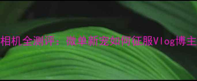 图片 索尼W系列数码相机全测评：微单新宠如何征服Vlog博主？附避坑指南1