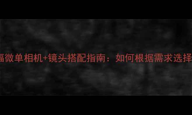 图片 索尼全画幅微单相机+镜头搭配指南：如何根据需求选择最佳组合2