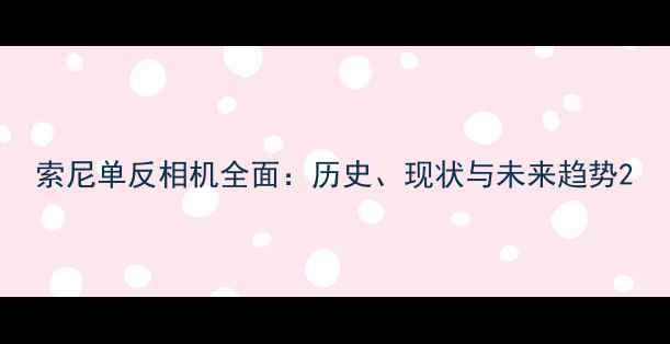 图片 索尼单反相机全面：历史、现状与未来趋势2