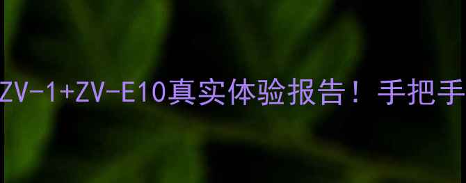 图片 索尼相机全测评｜ZV-1+ZV-E10真实体验报告！手把手教你选对Vlog神器