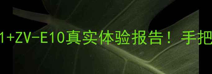 图片 索尼相机全测评｜ZV-1+ZV-E10真实体验报告！手把手教你选对Vlog神器2