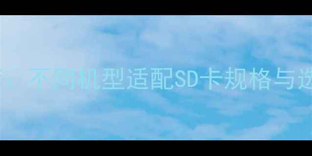 图片 索尼相机内存卡容量推荐：不同机型适配SD卡规格与选购指南（附实测数据）1