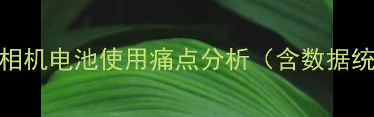 图片 索尼相机电池使用痛点分析（含数据统计）