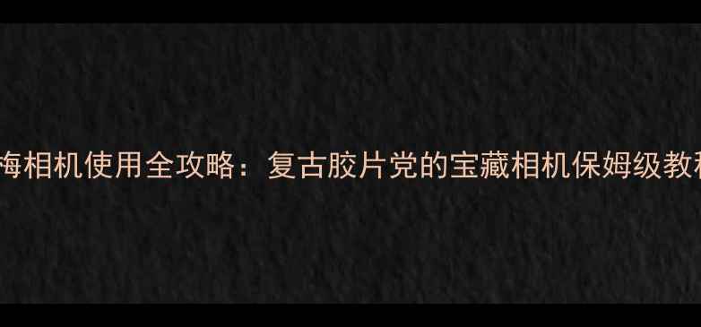 图片 红梅相机使用全攻略：复古胶片党的宝藏相机保姆级教程2