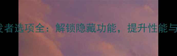 图片 终极指南手机开发者选项全：解锁隐藏功能，提升性能与个性化设置技巧1
