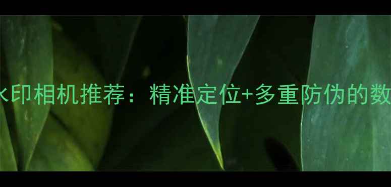 图片 经纬度定位水印相机推荐：精准定位+多重防伪的数码防伪利器2