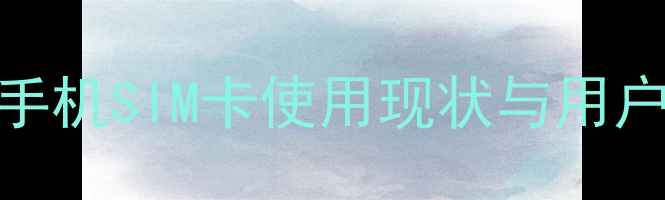 图片 美图手机SIM卡使用现状与用户痛点