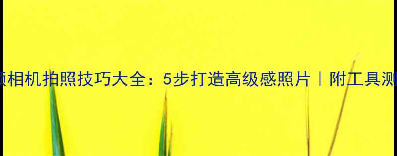 图片 美颜相机拍照技巧大全：5步打造高级感照片｜附工具测评1