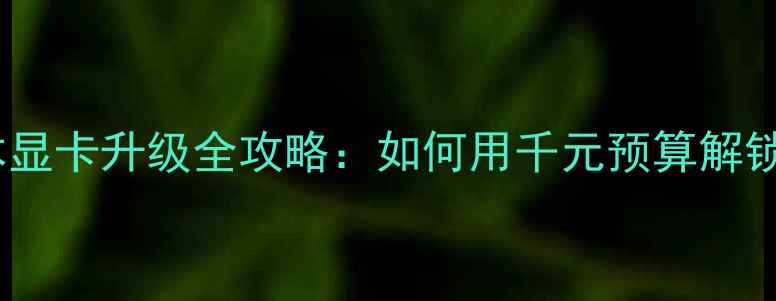图片 联想T400办公本显卡升级全攻略：如何用千元预算解锁PSPR流畅剪辑1