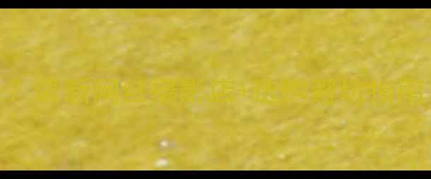 图片 苏州哪里买相机？最新网红摄影店+选购避坑指南（附详细攻略）