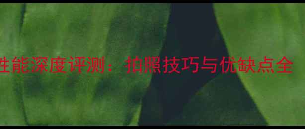 图片 苹果6Plus相机性能深度评测：拍照技巧与优缺点全（附实测数据）2