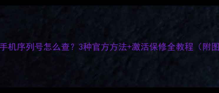 图片 苹果手机序列号怎么查？3种官方方法+激活保修全教程（附图文）