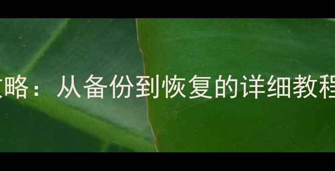 图片 苹果手机系统还原全攻略：从备份到恢复的详细教程（附常见问题解答）2
