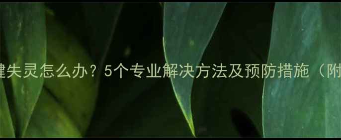 图片 苹果电脑左键失灵怎么办？5个专业解决方法及预防措施（附图文教程）2
