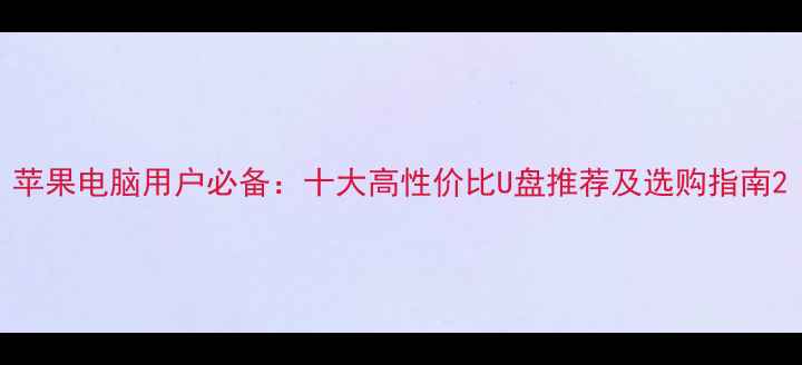 图片 苹果电脑用户必备：十大高性价比U盘推荐及选购指南2