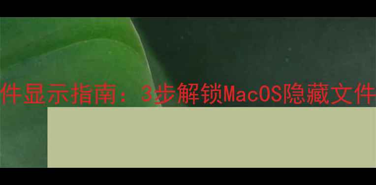 图片 苹果电脑隐藏文件显示指南：3步解锁MacOS隐藏文件功能及实用技巧