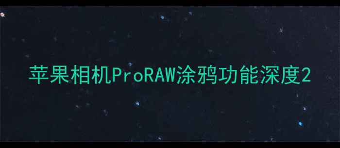 图片 苹果相机ProRAW涂鸦功能深度2
