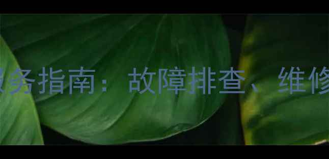 图片 莱卡相机专业维修服务指南：故障排查、维修价格及保养技巧全1