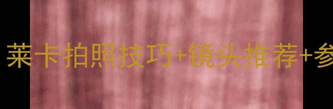 图片 莱卡相机怎么用？新手必看！莱卡拍照技巧+镜头推荐+参数设置全攻略（附对比图）2