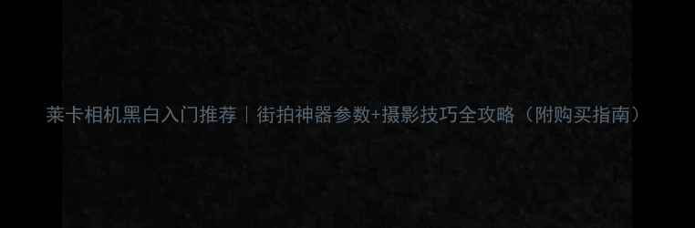 图片 莱卡相机黑白入门推荐｜街拍神器参数+摄影技巧全攻略（附购买指南）