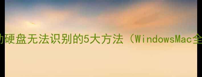 图片 解决移动硬盘无法识别的5大方法（WindowsMac全攻略）1