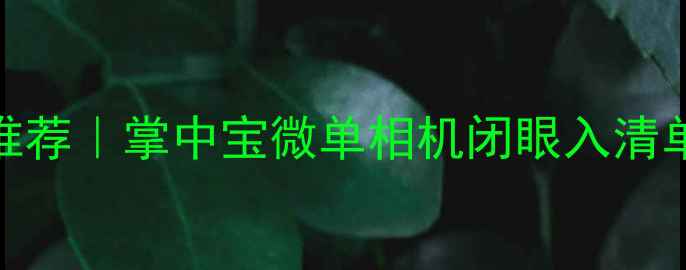 图片 超小型数码相机推荐｜掌中宝微单相机闭眼入清单（附参数对比）