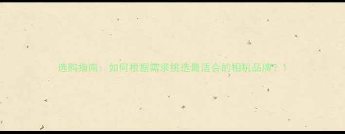 图片 选购指南：如何根据需求挑选最适合的相机品牌？1