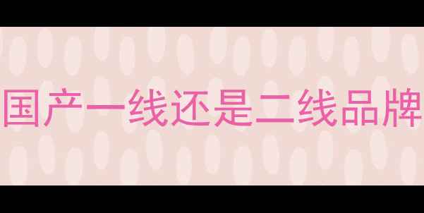 图片 镭风显卡深度评测：是国产一线还是二线品牌？性能对比与选购指南
