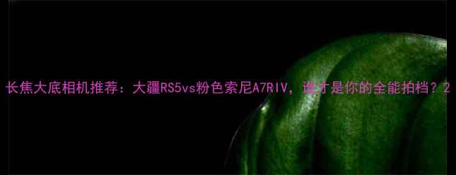 图片 长焦大底相机推荐：大疆RS5vs粉色索尼A7RIV，谁才是你的全能拍档？2