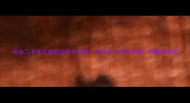 闲鱼二手单反相机交易全攻略高性价比淘机必看附避坑指南