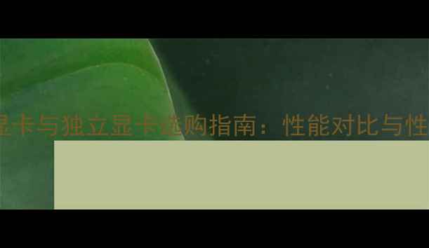图片 集成显卡与独立显卡选购指南：性能对比与性价比2