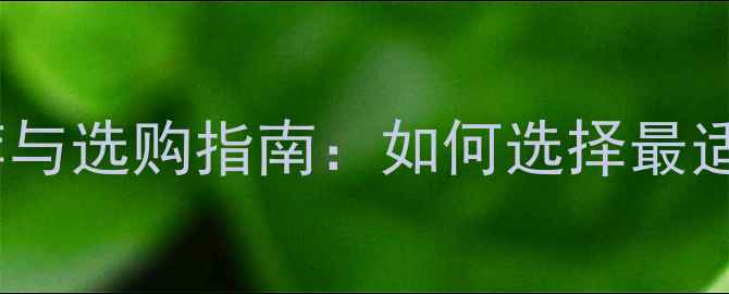 图片 顶级数码相机推荐与选购指南：如何选择最适合你的影像设备1