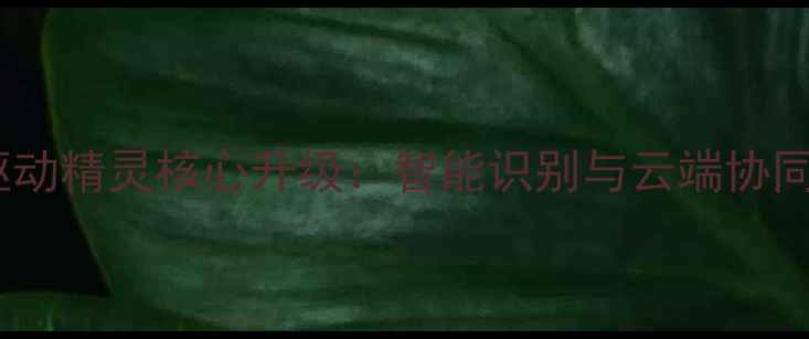 图片 驱动精灵核心升级：智能识别与云端协同2