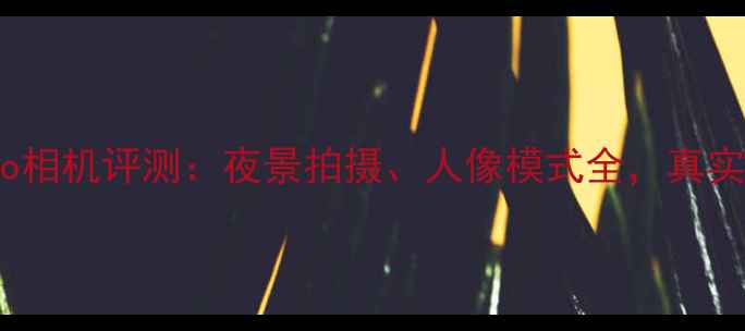 图片 魅族16sPro相机评测：夜景拍摄、人像模式全，真实样张对比1