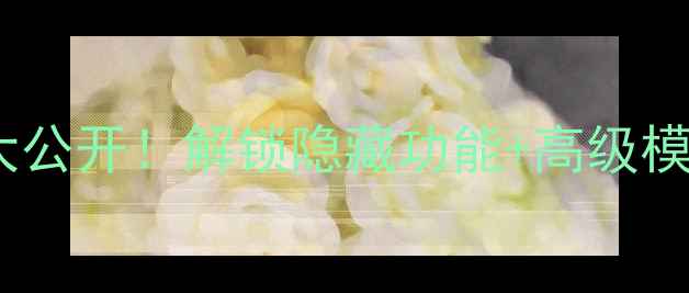 图片 黄油相机会员破解技巧大公开！解锁隐藏功能+高级模板（附安全使用指南）1