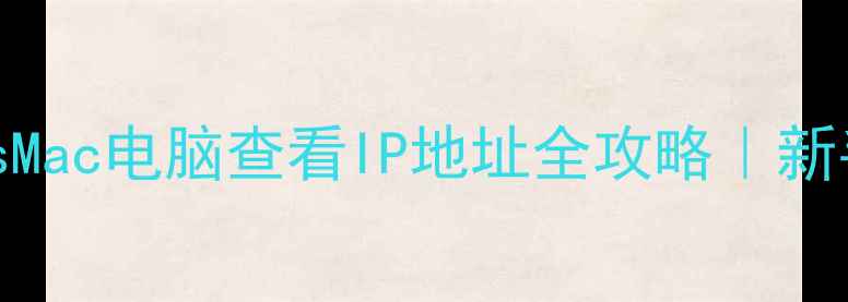手把手教学WindowsMac电脑查看IP地址全攻略新手必看网络设置技巧