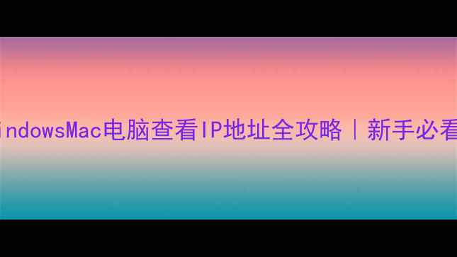 图片 🌐手把手教学WindowsMac电脑查看IP地址全攻略｜新手必看网络设置技巧2