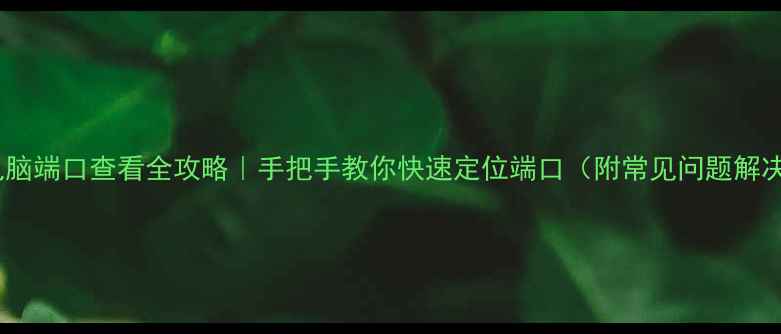 图片 🌐电脑端口查看全攻略｜手把手教你快速定位端口（附常见问题解决）2